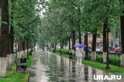 Дожди ожидают свердловчан и в начале июля