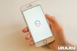 По поручению Путина на «Госуслугах» создадут раздел «Россия — страна возможностей»