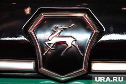 За авто просят 2,9 миллиона рублей