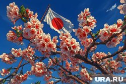 МИД РФ отмечает, что Япония до сих пор не признала свою ответственность за развязывание Второй мировой войны 