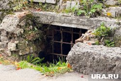 В подземелье в Кургане оборвалась жизнь революционерки