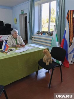 В помещении Шумихинского аграрно-строительного колледжа день голосования с избирателями и членами комиссий проводит кот Рыжик