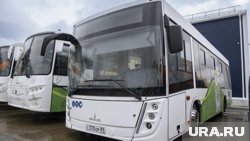 Автобусы уже вышли на линии 