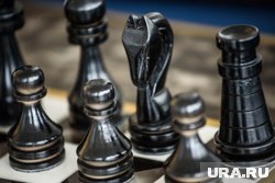 Семья юных шахматисток из Нового Уренгоя борется за справедливость