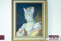 Некоторые исследования показали, что люди (особенно женщины) высыпаются лучше в компании кошки