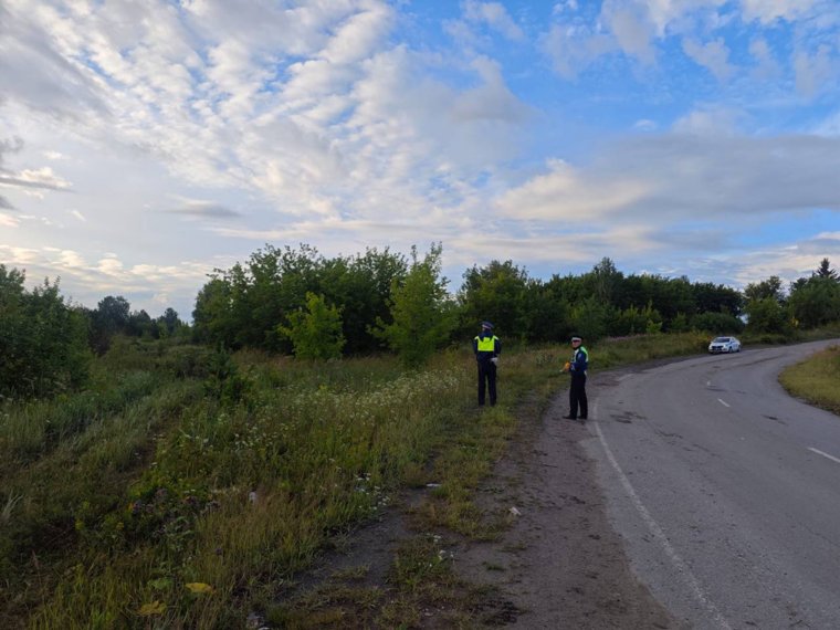 Поворот со съездом в овраг, куда угодили погибшие в ДТП