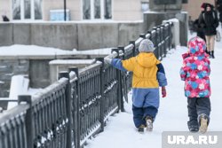 Ранее в селе Княжево похитили девочку