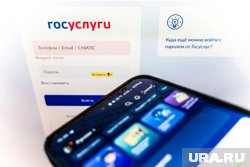 У части россиян перестали работать «Госуслуги»