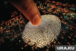 Внедрение биометрии позволит упростить процедуры контроля для пассажиров