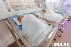 Девочек назвали Юлей, Аленой и Алисой