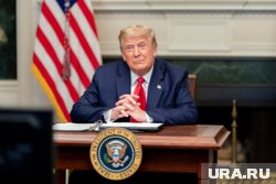 Трамп готов сделать все, чтобы достичь результата, заявил Владимир Джаралла