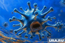 В России началась разработка отечественной вакцины против вируса 
