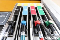 В Курганской области растут цены на бензин и топливо уже полгода