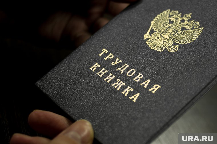 При первом трудоустройстве информация о работе автоматически формируется в электронном формате