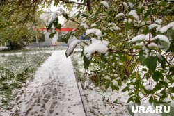 В ХМАО начался снегопад