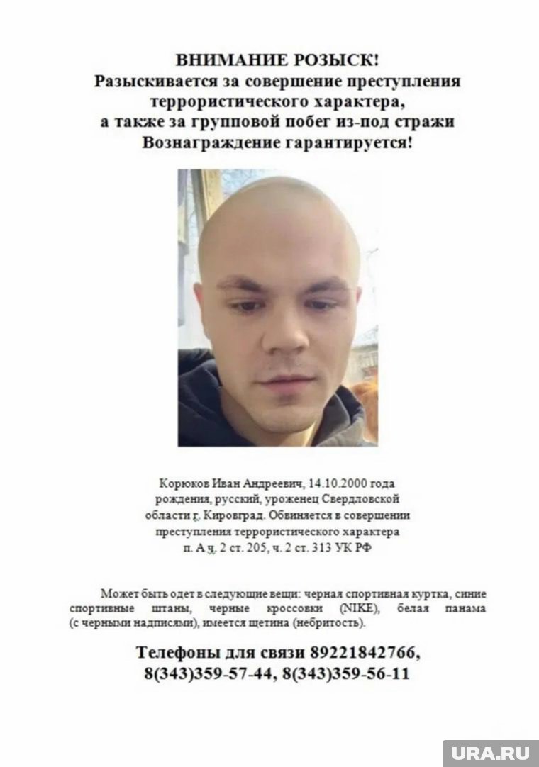 В Курганской области ищут зека