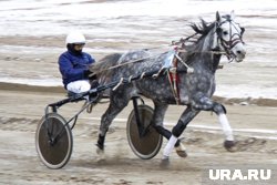 На новом курорте появится один из самых больших ипподромов в стране