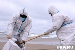 Пляжи до сих пор загрязнены