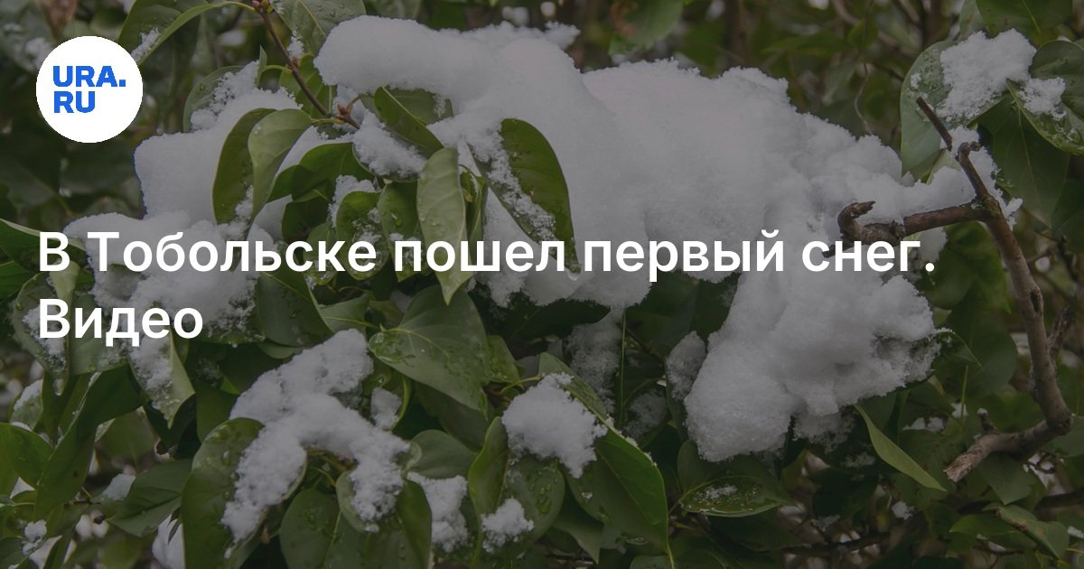 Погода в Тюменской области: в Тобольске пошел первый снег, видео