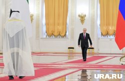 Президент РФ Владимир Путин не исключил, что саммит с Дональдом Трампом может пройти в ОАЭ