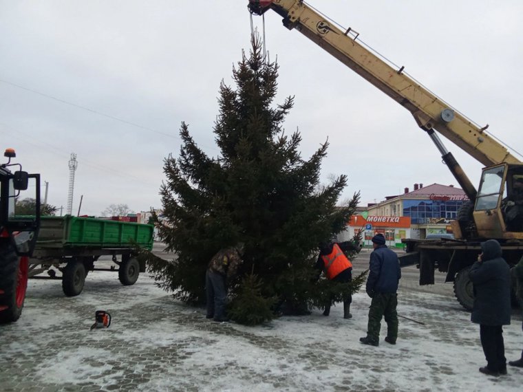 Нарядить елку гирляндами пока невозможно из-за оборванного кабеля