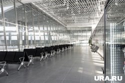 Наркотическое растение пытались провезти в Россию через аэропорт Перми