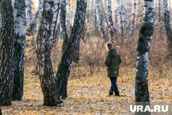 Ребенок мог уйти в лес или к карьеру (архивное фото) 