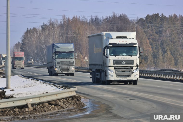 Уже в этом году в Кургане обнаружено 28 большегрузов-нарушителей, а общая сумма штрафов составила более 12 миллионов рублей