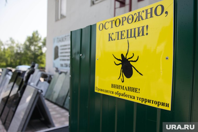 За неделю количество пострадавших увеличилась на 1,2 тысячи человек