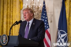 Действия Трампа могут привести к разрушению НАТО