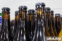 В пиве обнаружены «вечные химикаты»