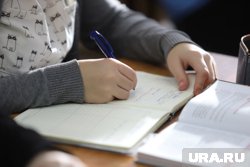 Электронный дневник заменил обычные бумажные версии