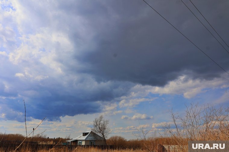 Заморозки усилятся к началу лета (архивное фото)