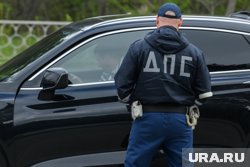 Инспекторы ДПС попытались облегчить участь нарушителя ПДД (архивное фото)