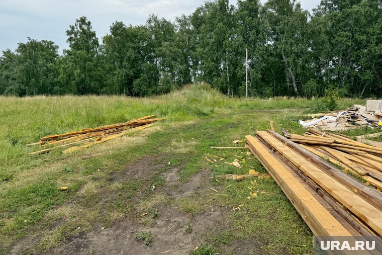 Красноярские леса поражает уссурийский полиграф