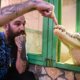 Уральский Данди приютил крокодила-уголовника: чем еще славится уникальная ферма России. Фото