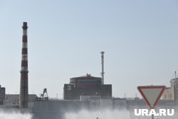 В случае указа сверху, «Росатом» может обсудить с США их присутствие на Запорожской АЭС, заявил Лихачев