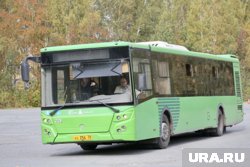 Шесть больших автобусов выйдут на маршруты