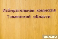 Выборы в большинстве муниципалитетов Тюменской области пройдут осенью 2025 года