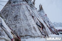 Теперь все необходимое для постройки чума семьи КМНС на Ямале могут получить с рождением второго ребенка 