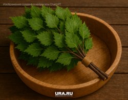 Если почувствуете запах сырости или пыли, лучше отказаться от покупки
