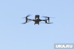 В Польше заявили, что вторгнувшиеся дроны 10 сентября не предоставляли угрозы