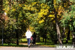 На этой неделе в России начнется метеорологическая осень