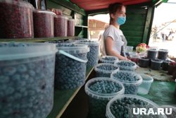 На Урале лето выдалось щедрым на ягоды