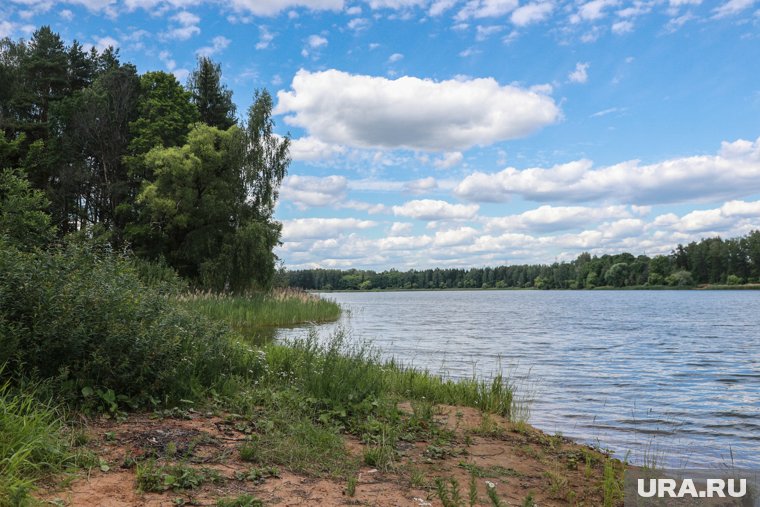 Истринское водохранилище находится на северо-западе Подмосковья