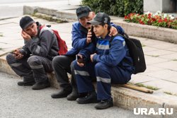Трудовые мигранты жалуются на бюрократию