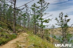 По словам Валуева, уроки по сохранению лесов позволят сформировать у школьников ответственное отношение к природным ресурсам