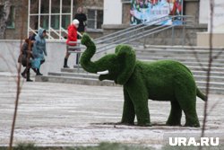 Топиарии появляются в Кургане и после ухода Андрея Потапова