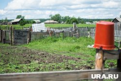 В России запрещено выращивать ряд растений, которые содержат наркотические и/или психотропные вещества