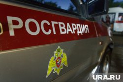 Росгвардеец, насмерть сбивший челябинку, будет уволен со службы